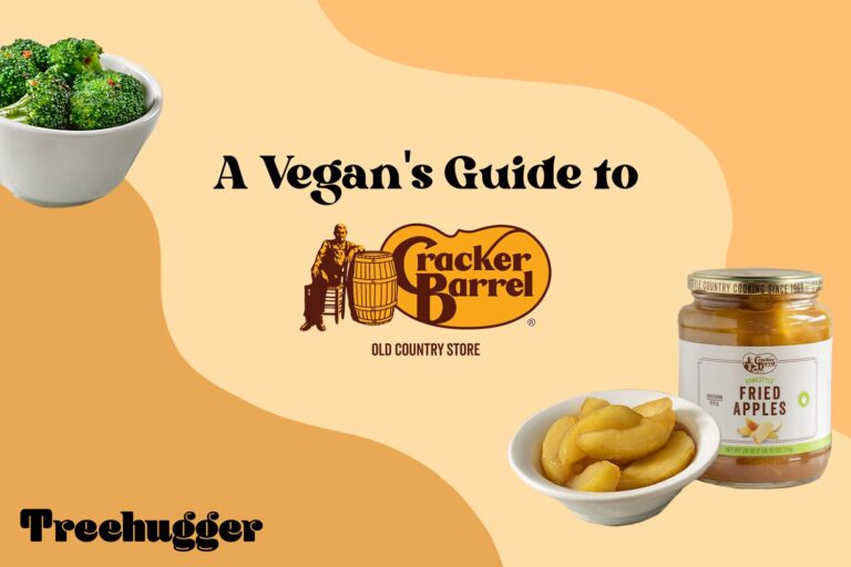 Cracker Barrel Vegetarian Menu